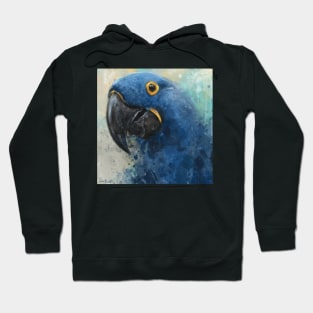 Chaotic Painting of a Blue Parrot Hoodie